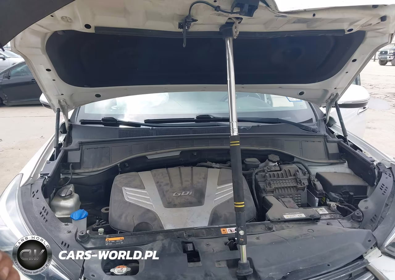 2017 Hyundai Santa Fe Limited VIN:KM8SN4HFXHU166469 - 10
