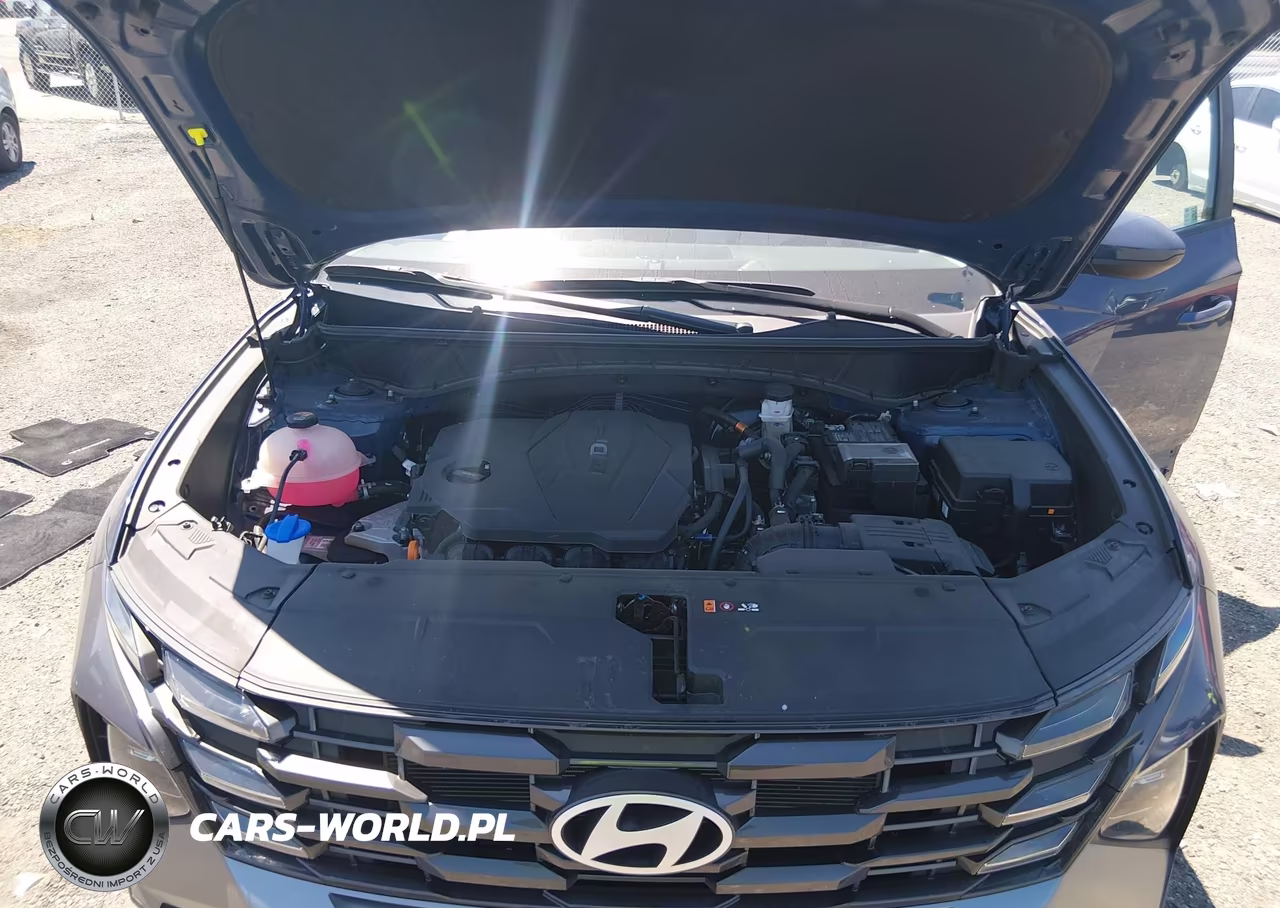 2025 Hyundai Tucson Sel VIN:5NMJBCDE7SH504098 - 10
