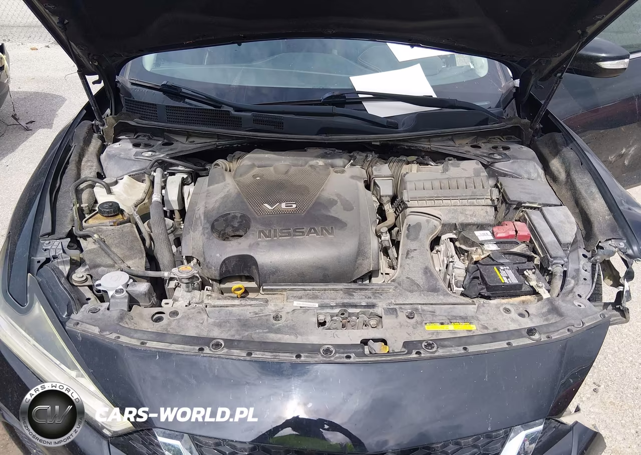 2019 Nissan Maxima 3.5 Sl VIN:1N4AA6AV5KC363061 - 10