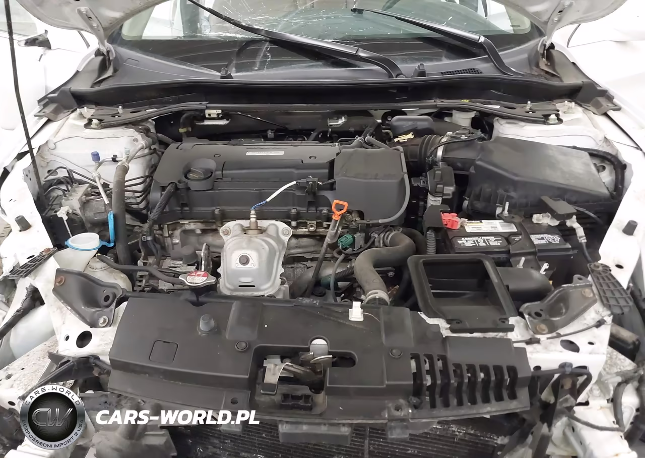 2016 Honda Accord Ex-L VIN:1HGCR2F8XGA101886 - 10