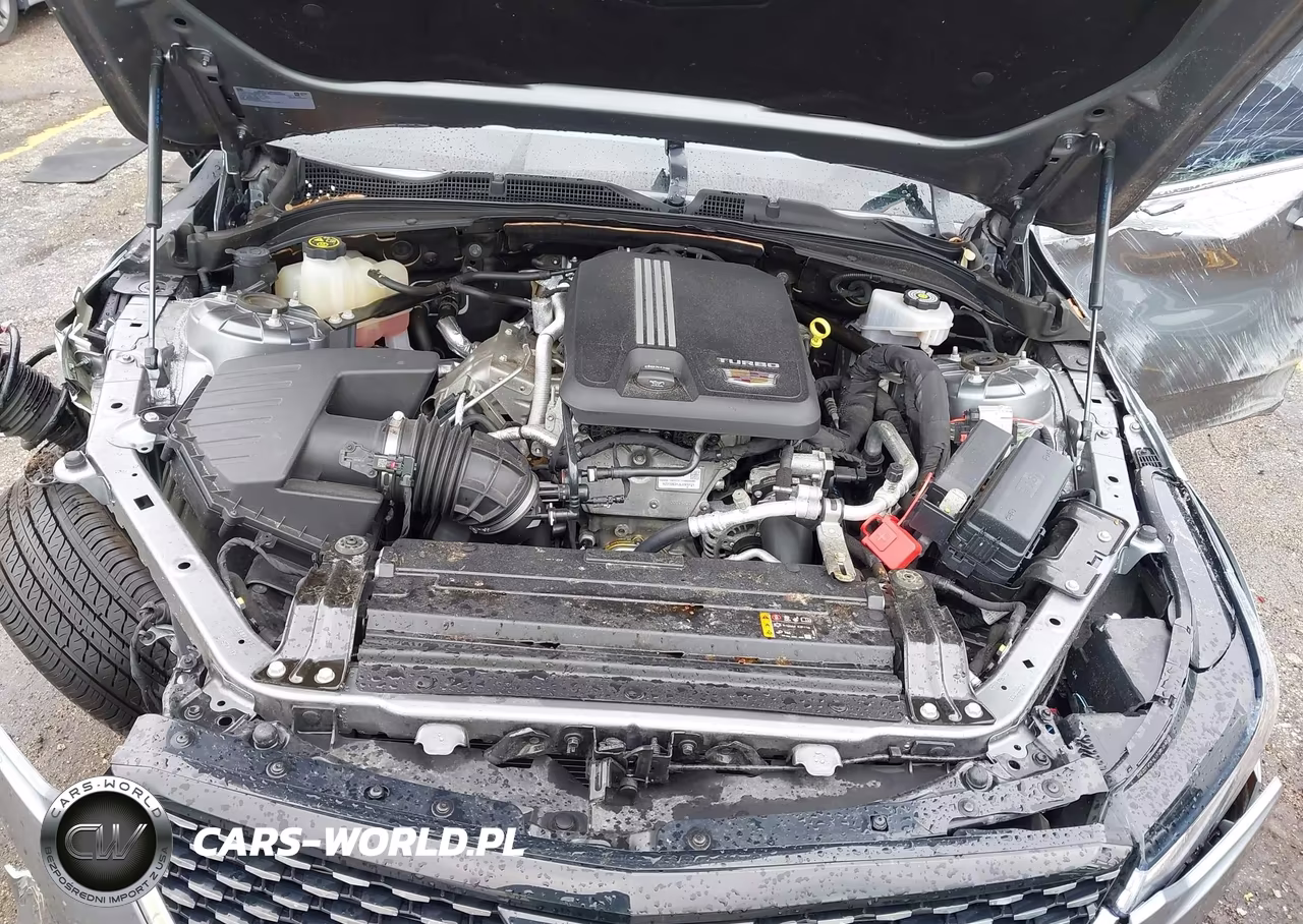 2021 Cadillac Ct4 Premium Luxury VIN:1G6DB5RK5M0145704 - 10