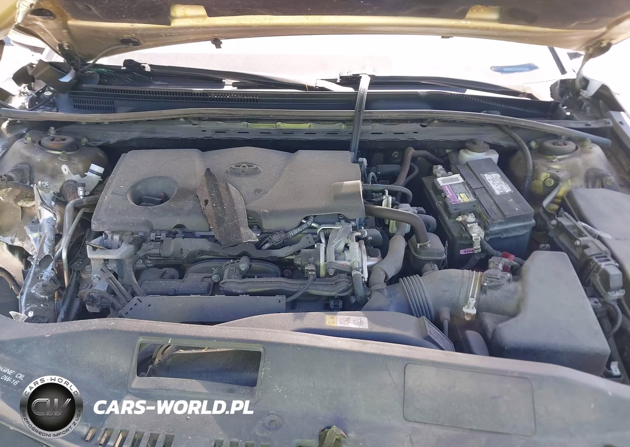 2019 Toyota Camry Le VIN:4T1B11HK7KU813392 - 10