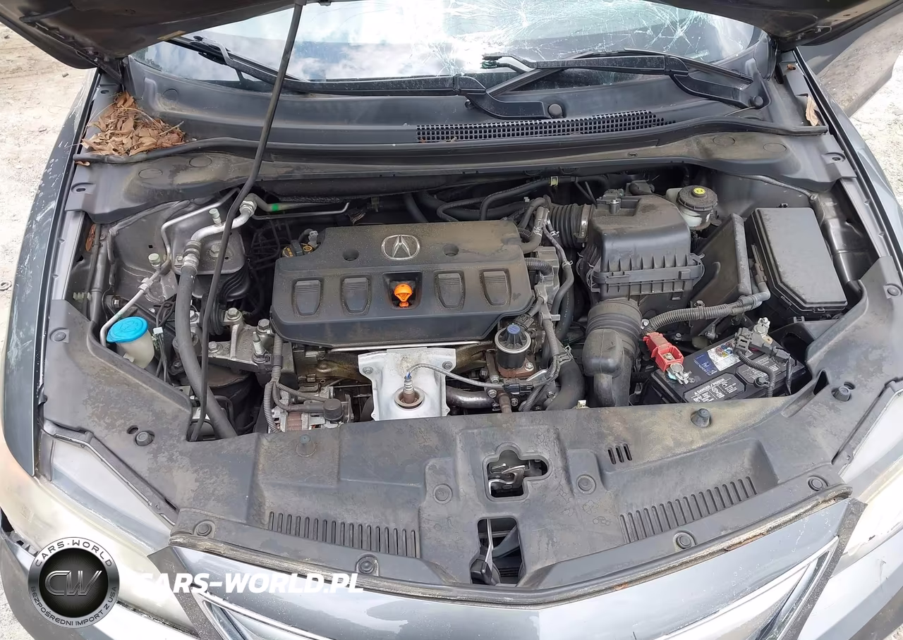 2013 Acura Ilx 2.0L VIN:19VDE1F79DE007273 - 10