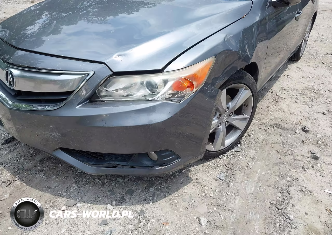 2013 Acura Ilx 2.0L VIN:19VDE1F79DE007273 - 17