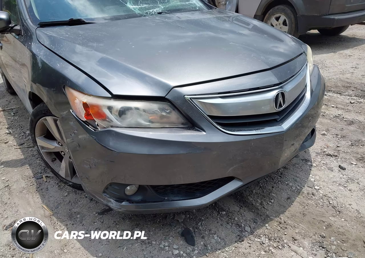 2013 Acura Ilx 2.0L VIN:19VDE1F79DE007273 - 18