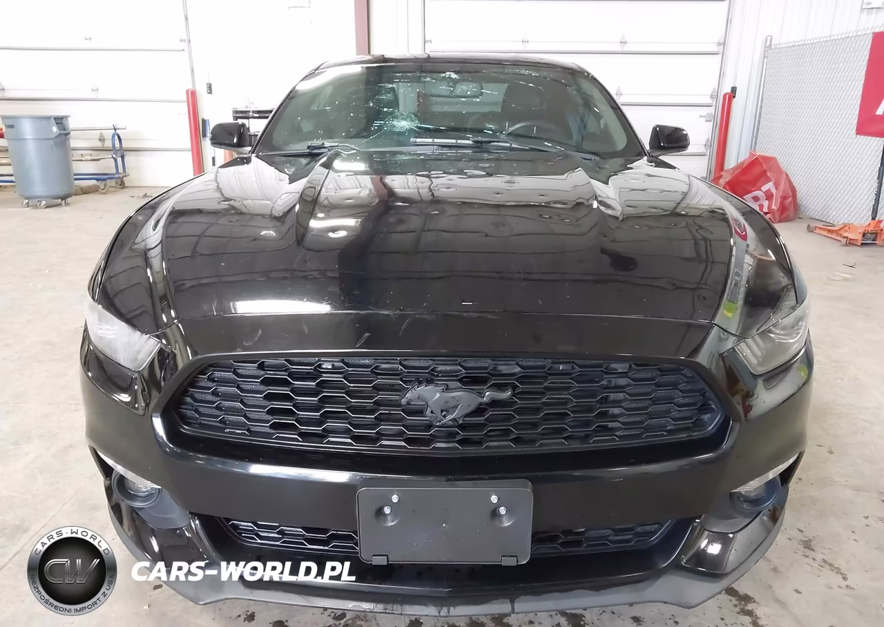 2016 Ford Mustang Ecoboost VIN:1FA6P8TH9G5227986 - 12