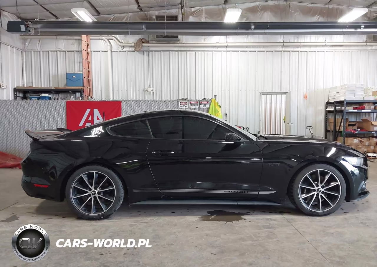 2016 Ford Mustang Ecoboost VIN:1FA6P8TH9G5227986 - 13