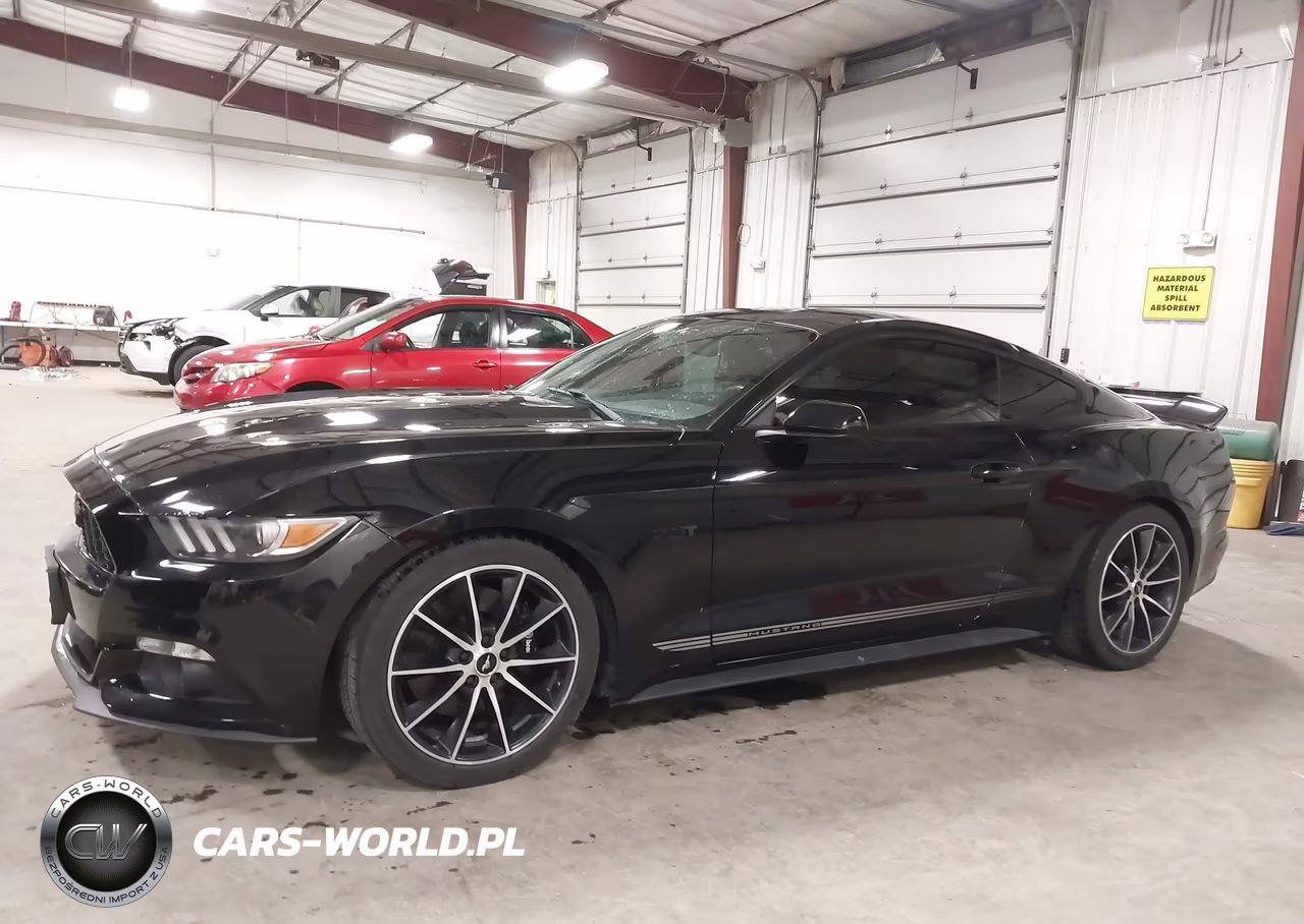 2016 Ford Mustang Ecoboost VIN:1FA6P8TH9G5227986 - 14