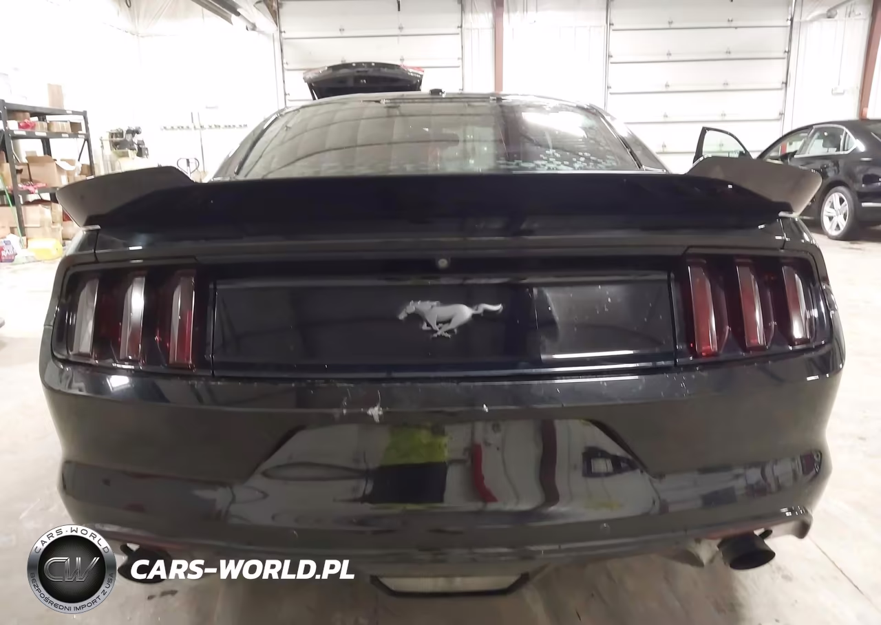 2016 Ford Mustang Ecoboost VIN:1FA6P8TH9G5227986 - 16