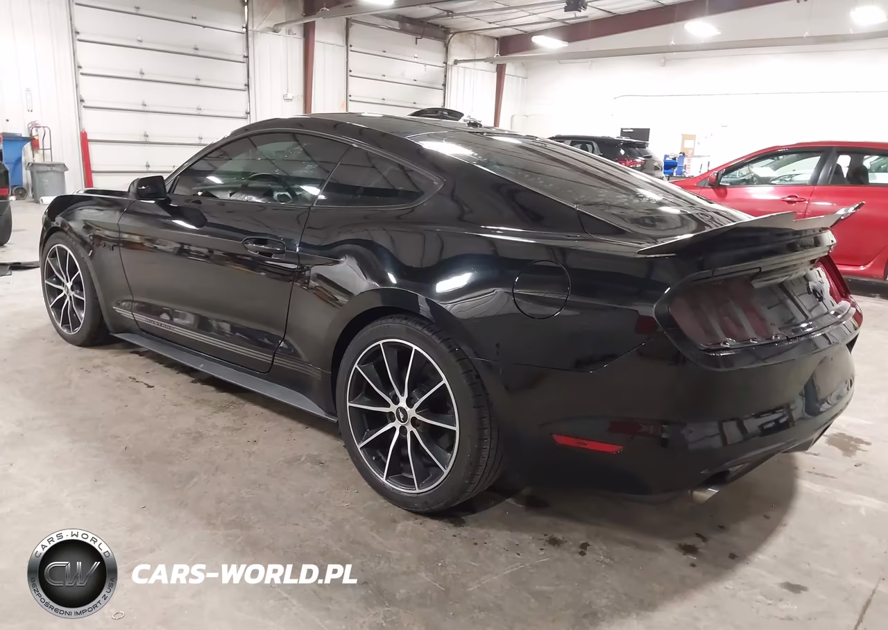 2016 Ford Mustang Ecoboost VIN:1FA6P8TH9G5227986 - 3