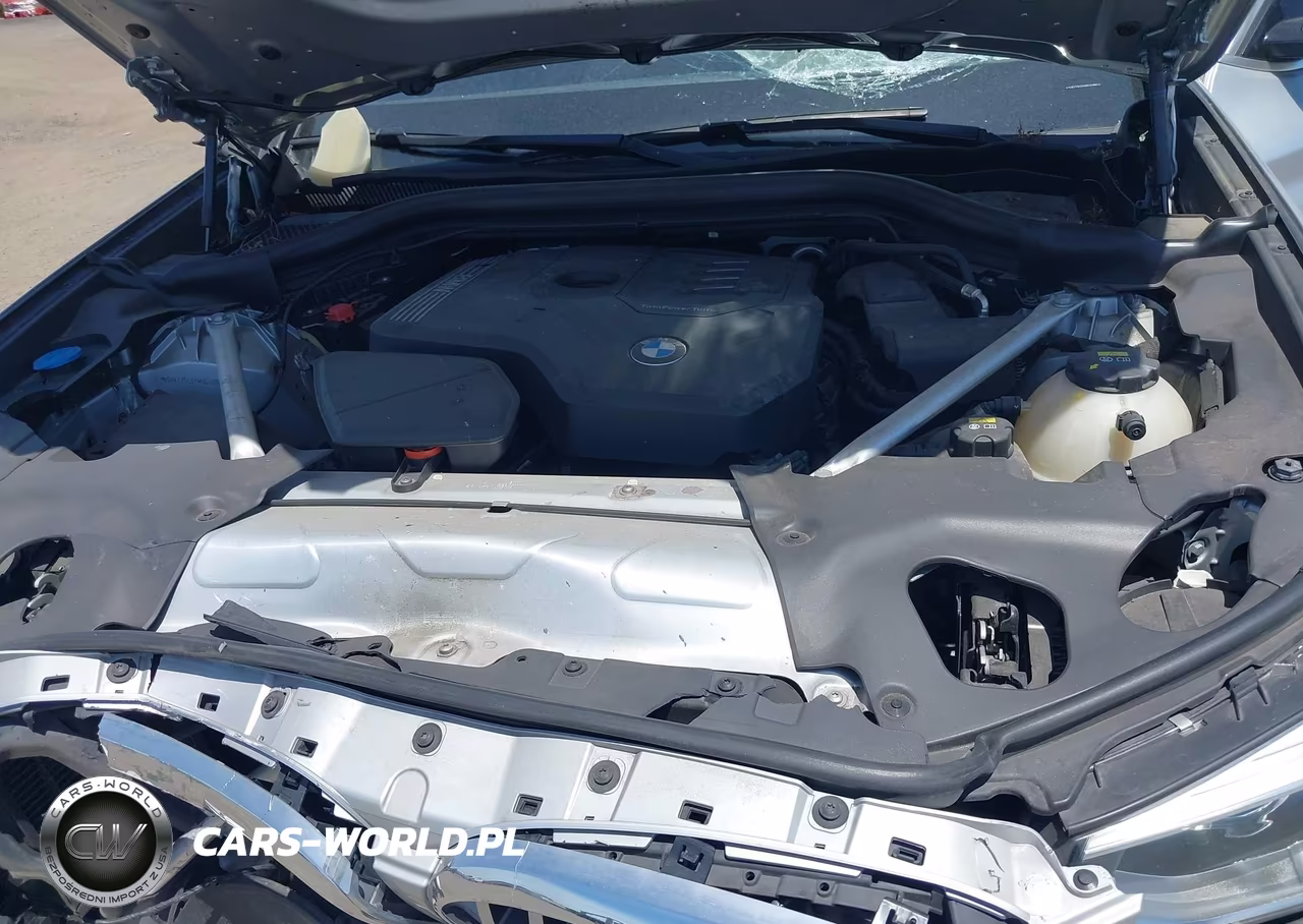 2021 BMW X3 xDrive30I VIN:5UXTY5C02M9G23881 - 10