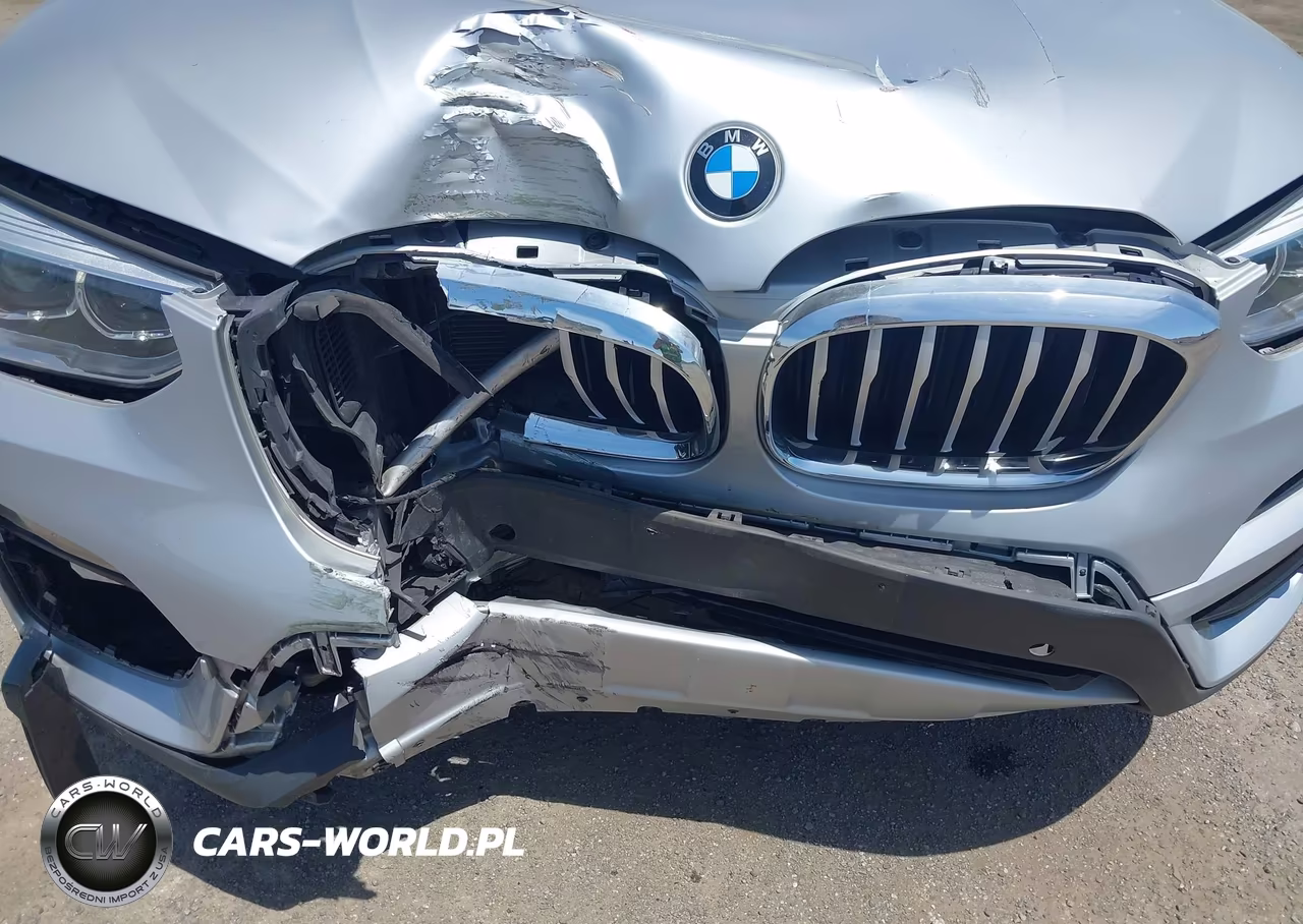 2021 BMW X3 xDrive30I VIN:5UXTY5C02M9G23881 - 17