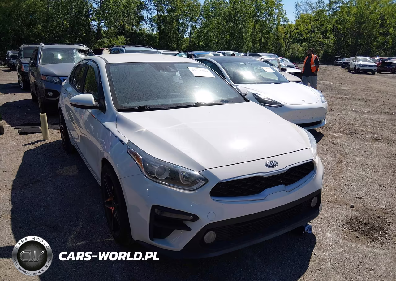 2019 Kia Forte Fe