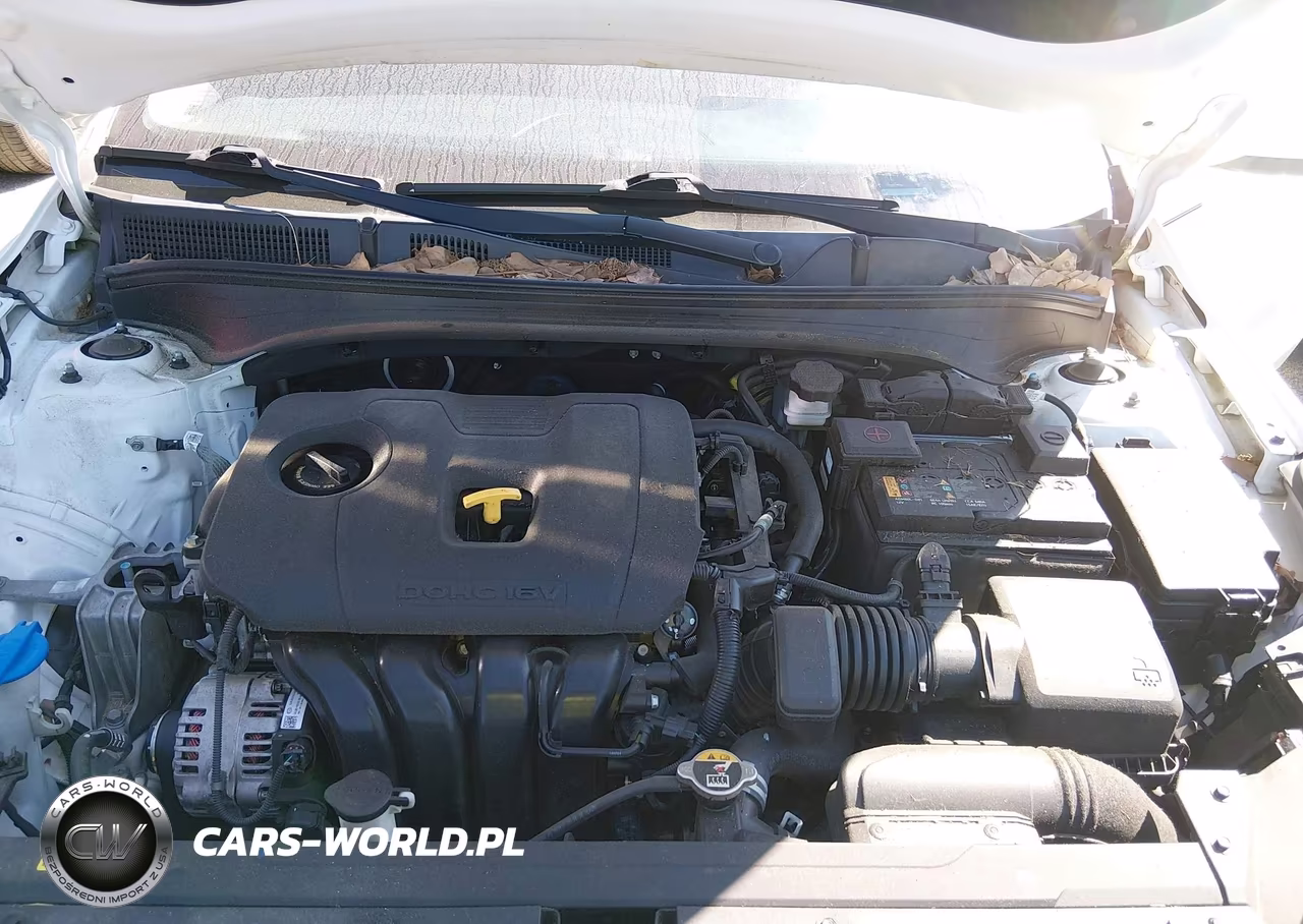 2019 Kia Forte Fe VIN:3KPF24AD3KE069076 - 10