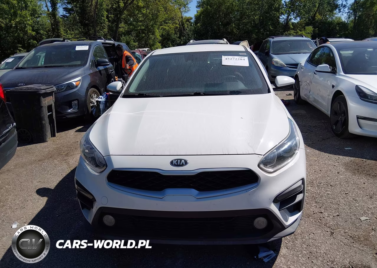 2019 Kia Forte Fe VIN:3KPF24AD3KE069076 - 12