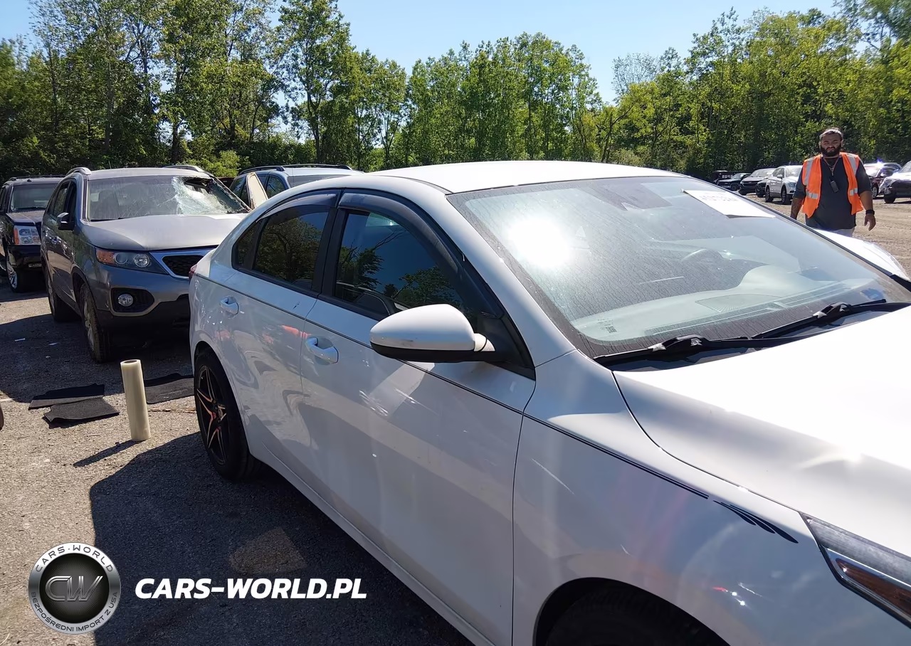 2019 Kia Forte Fe VIN:3KPF24AD3KE069076 - 13