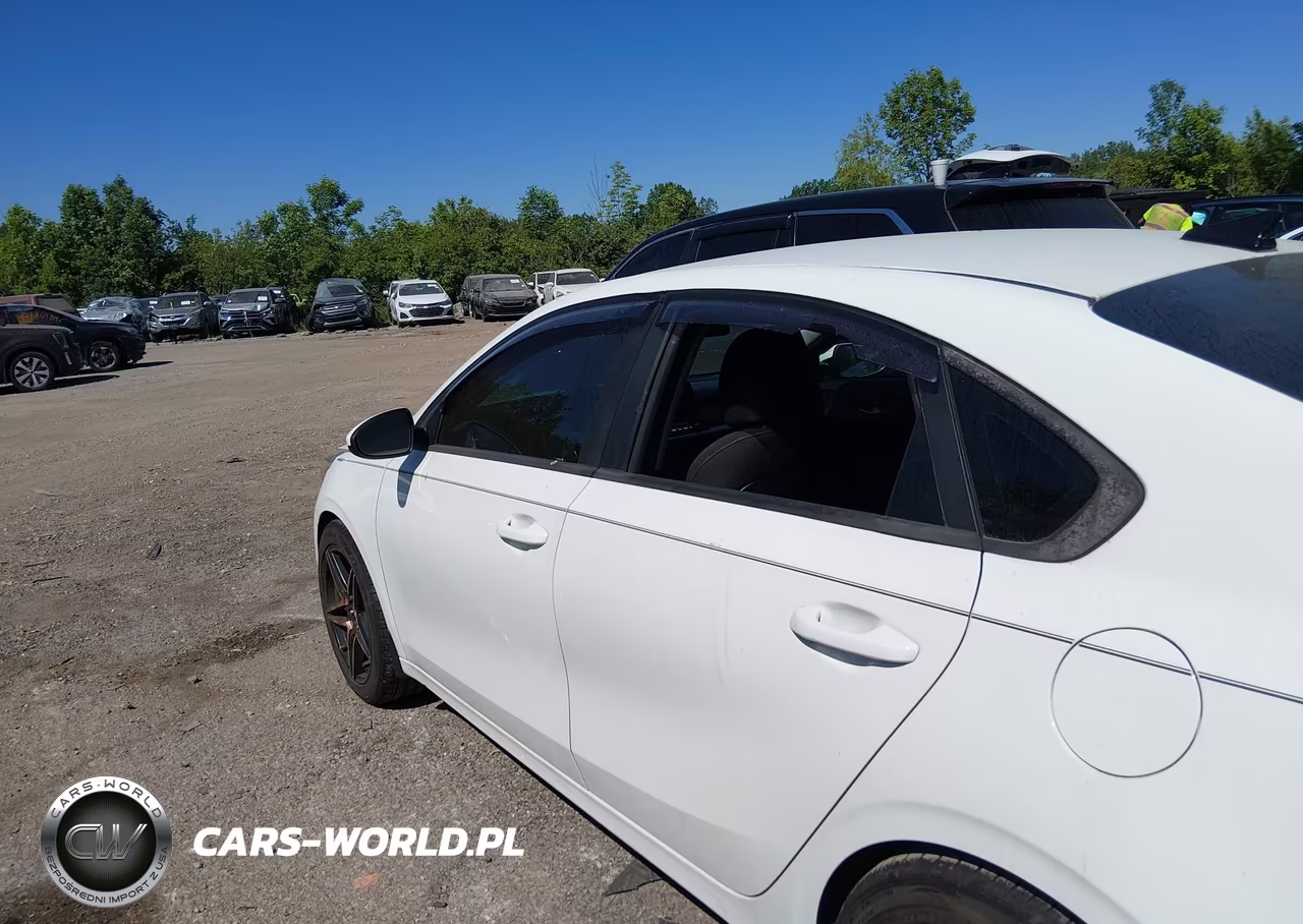 2019 Kia Forte Fe VIN:3KPF24AD3KE069076 - 14