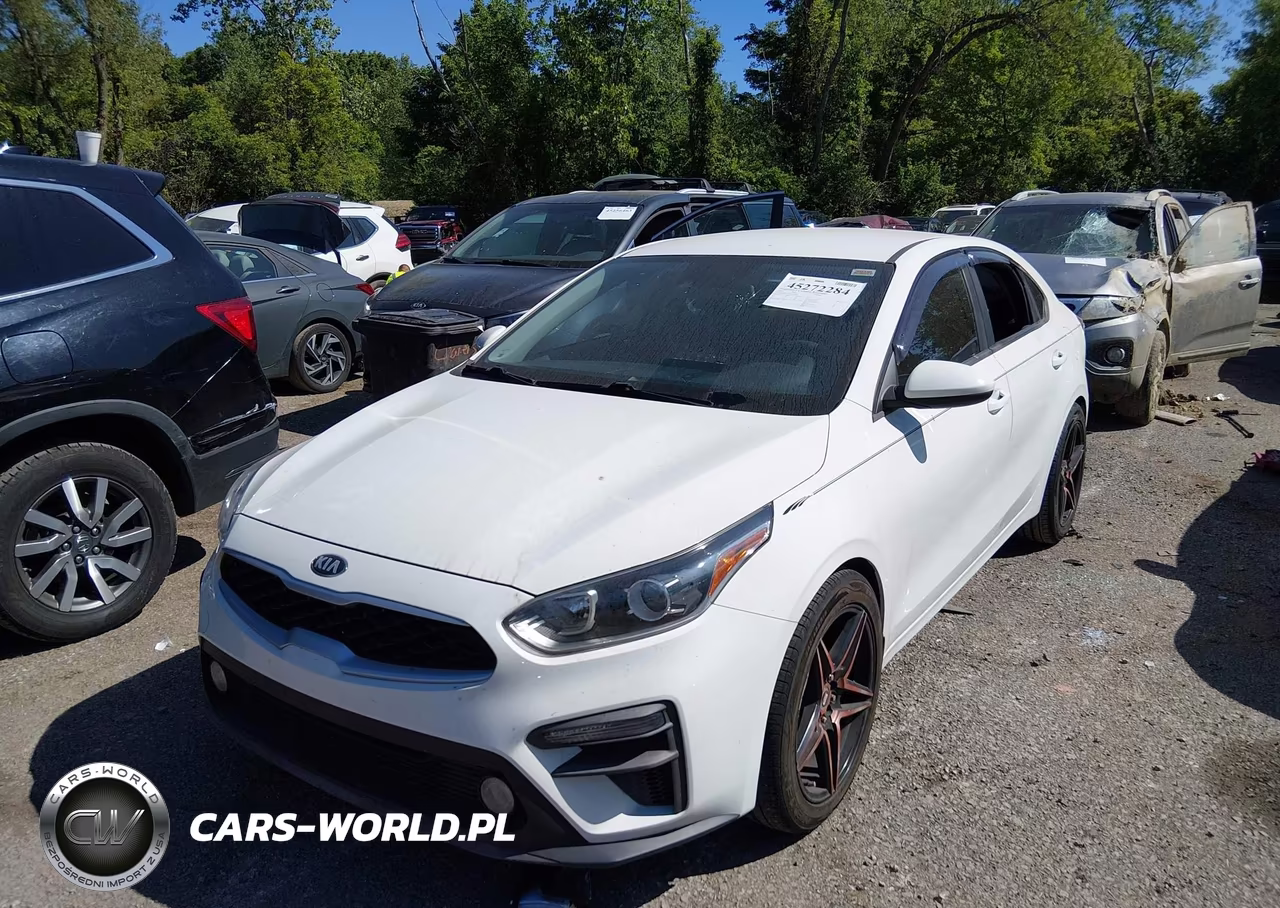2019 Kia Forte Fe VIN:3KPF24AD3KE069076 - 2