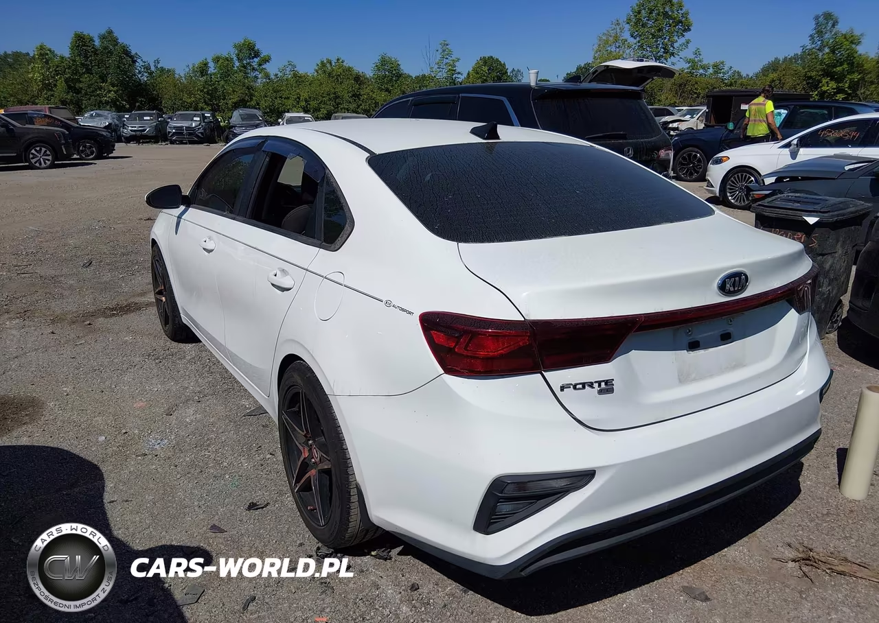2019 Kia Forte Fe VIN:3KPF24AD3KE069076 - 3