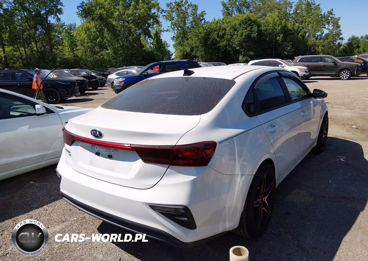 2019 Kia Forte Fe VIN:3KPF24AD3KE069076 - 4