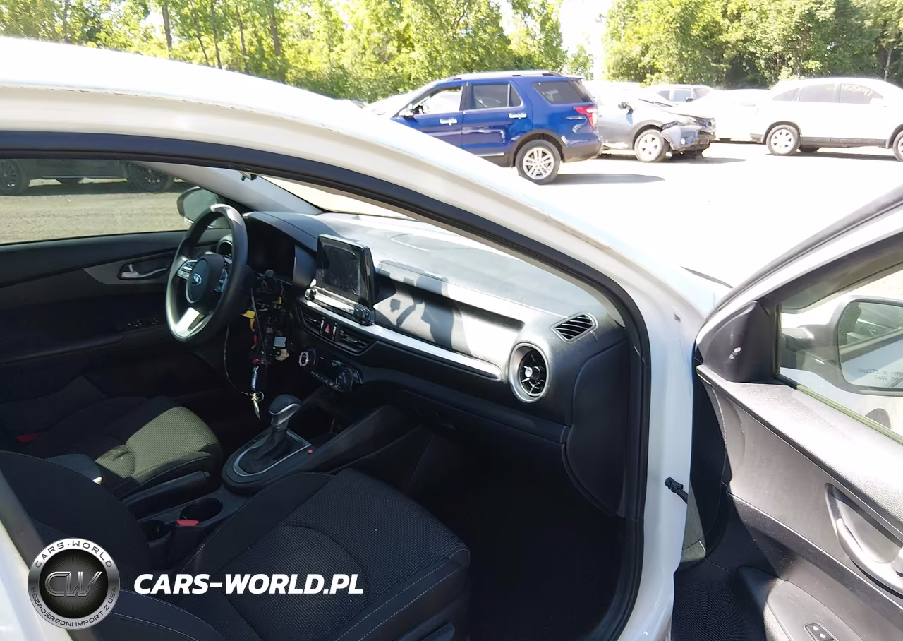2019 Kia Forte Fe VIN:3KPF24AD3KE069076 - 5