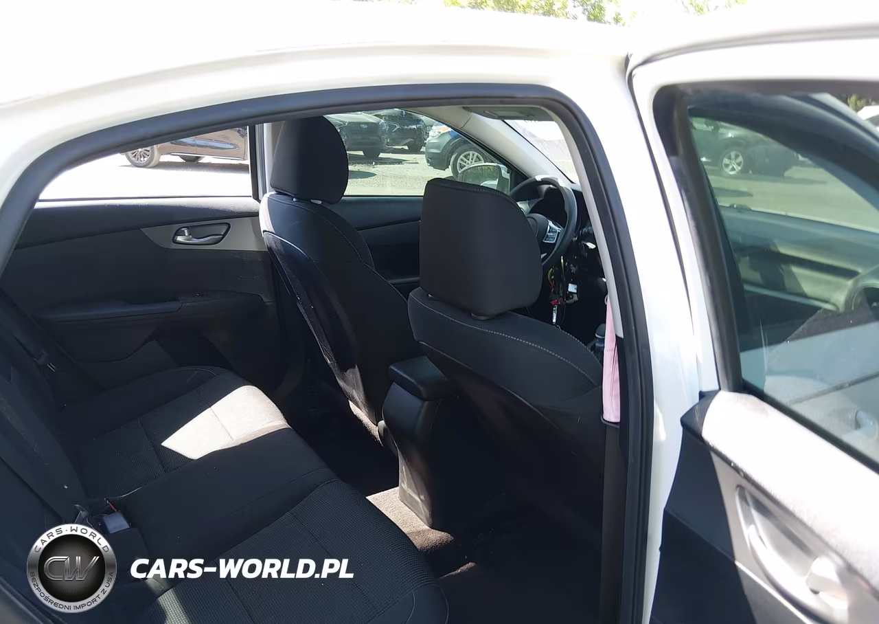 2019 Kia Forte Fe VIN:3KPF24AD3KE069076 - 8