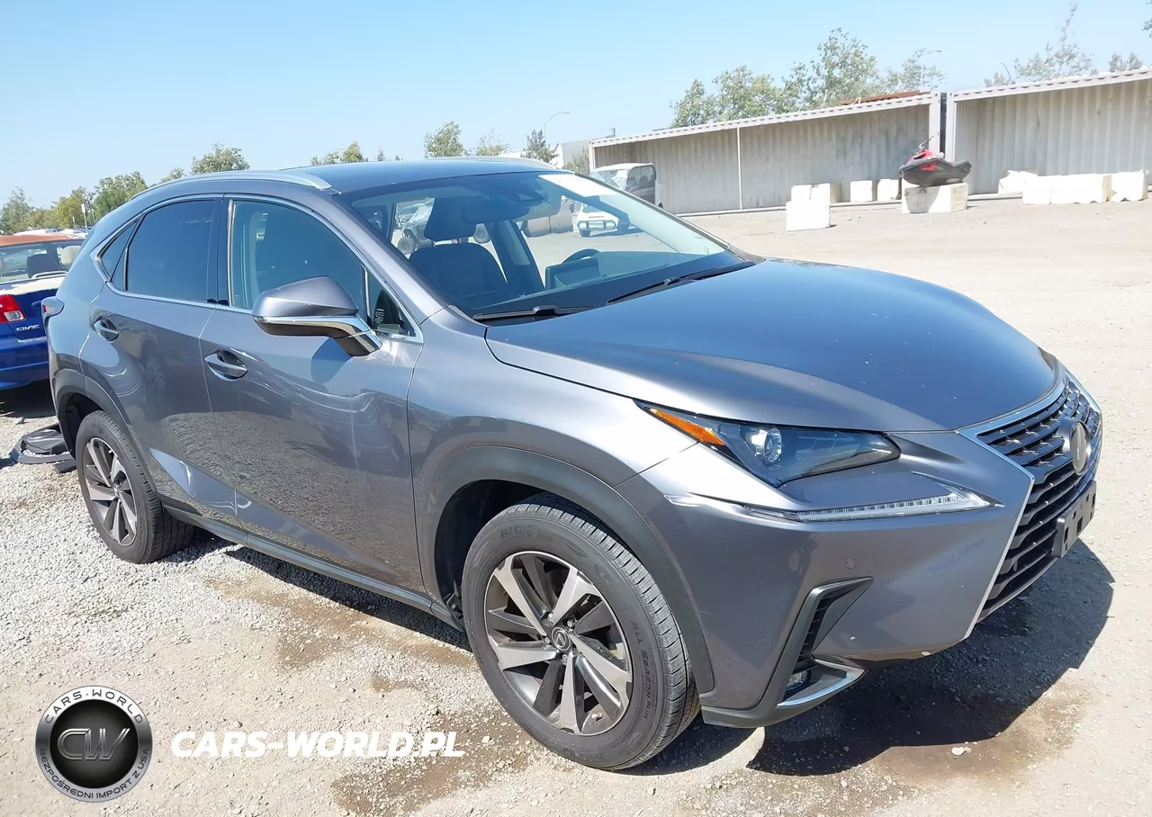 2021 Lexus Nx 300