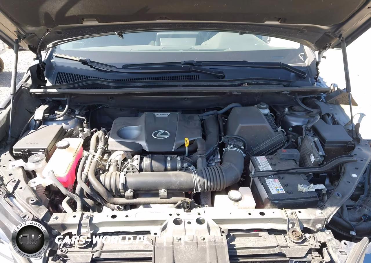 2021 Lexus Nx 300 VIN:JTJGARBZ8M2194201 - 10