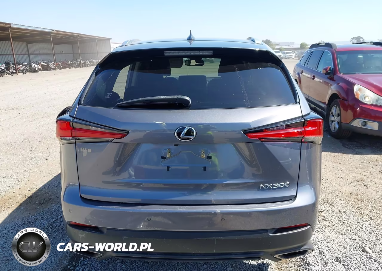 2021 Lexus Nx 300 VIN:JTJGARBZ8M2194201 - 17