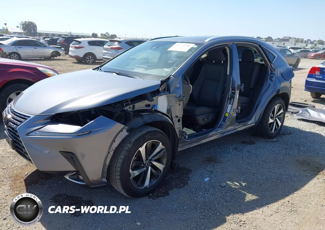 2021 Lexus Nx 300 VIN:JTJGARBZ8M2194201 - 2
