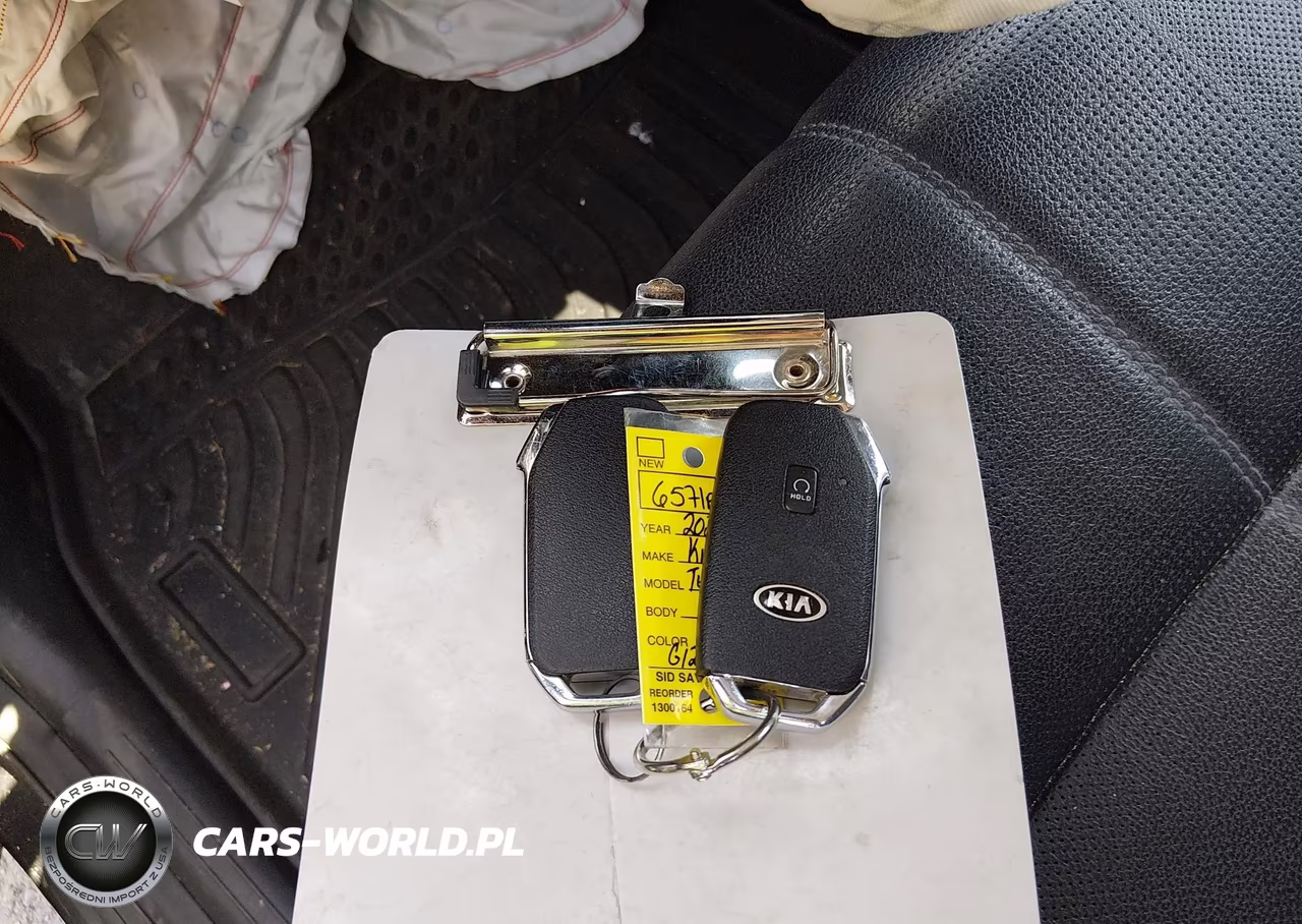 2021 Kia Telluride Ex VIN:5XYP3DHC9MG123324 - 11