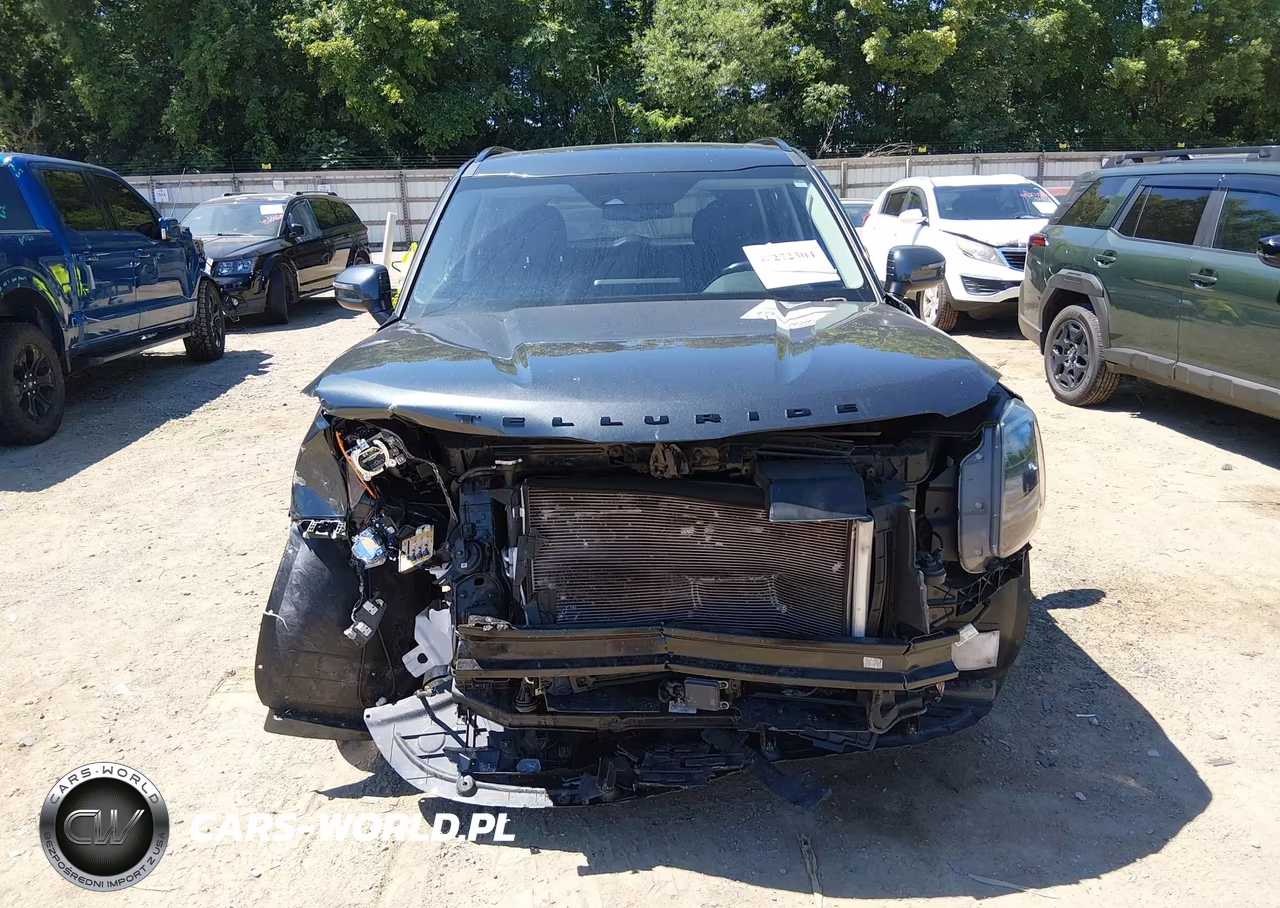 2021 Kia Telluride Ex VIN:5XYP3DHC9MG123324 - 12