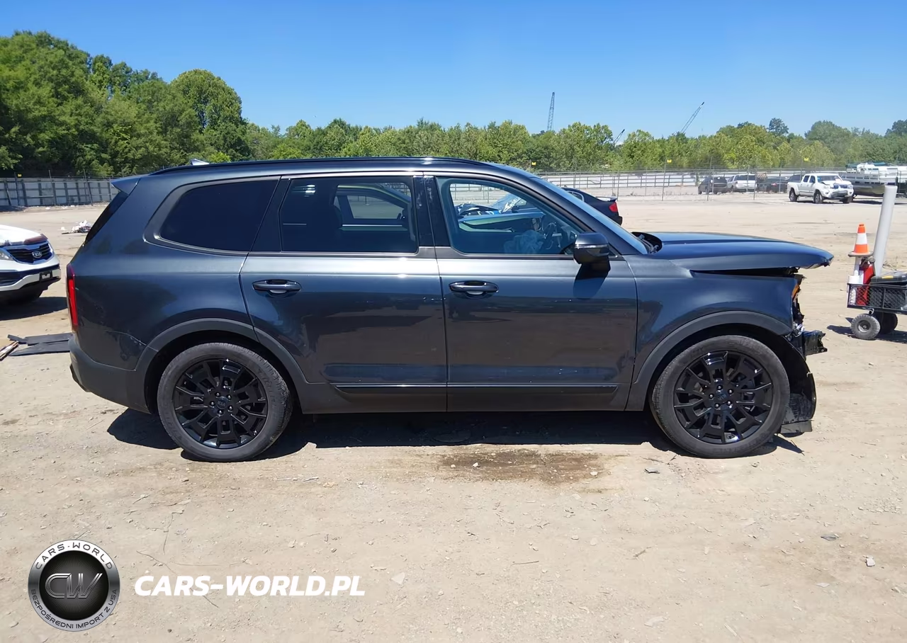 2021 Kia Telluride Ex VIN:5XYP3DHC9MG123324 - 13