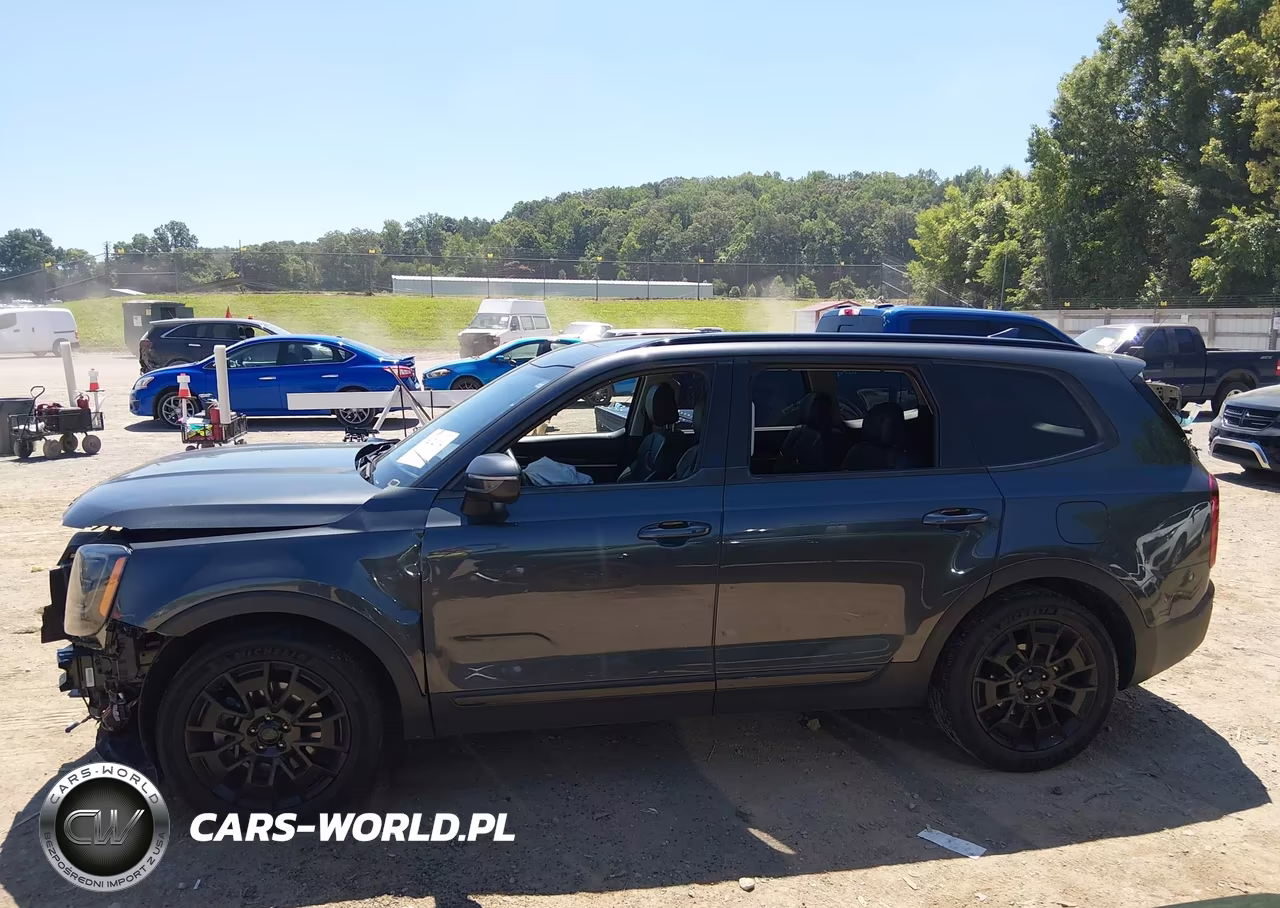 2021 Kia Telluride Ex VIN:5XYP3DHC9MG123324 - 14