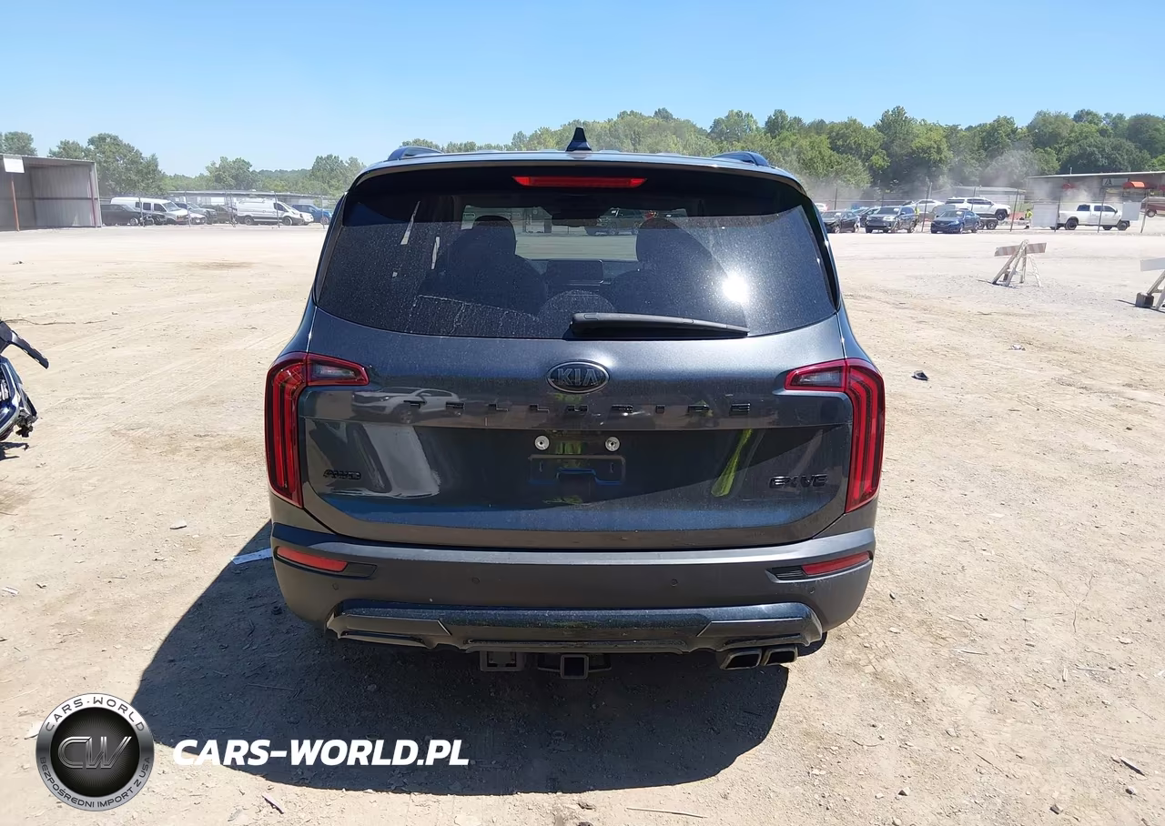 2021 Kia Telluride Ex VIN:5XYP3DHC9MG123324 - 16