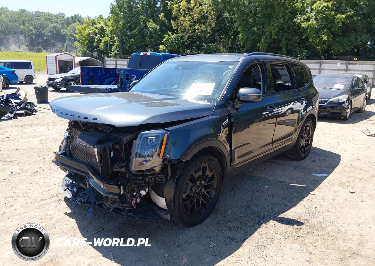 2021 Kia Telluride Ex VIN:5XYP3DHC9MG123324 - 2