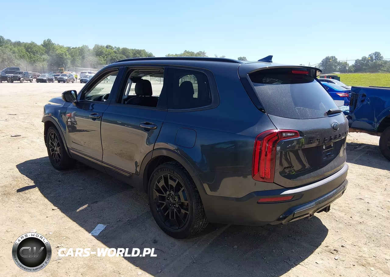 2021 Kia Telluride Ex VIN:5XYP3DHC9MG123324 - 3