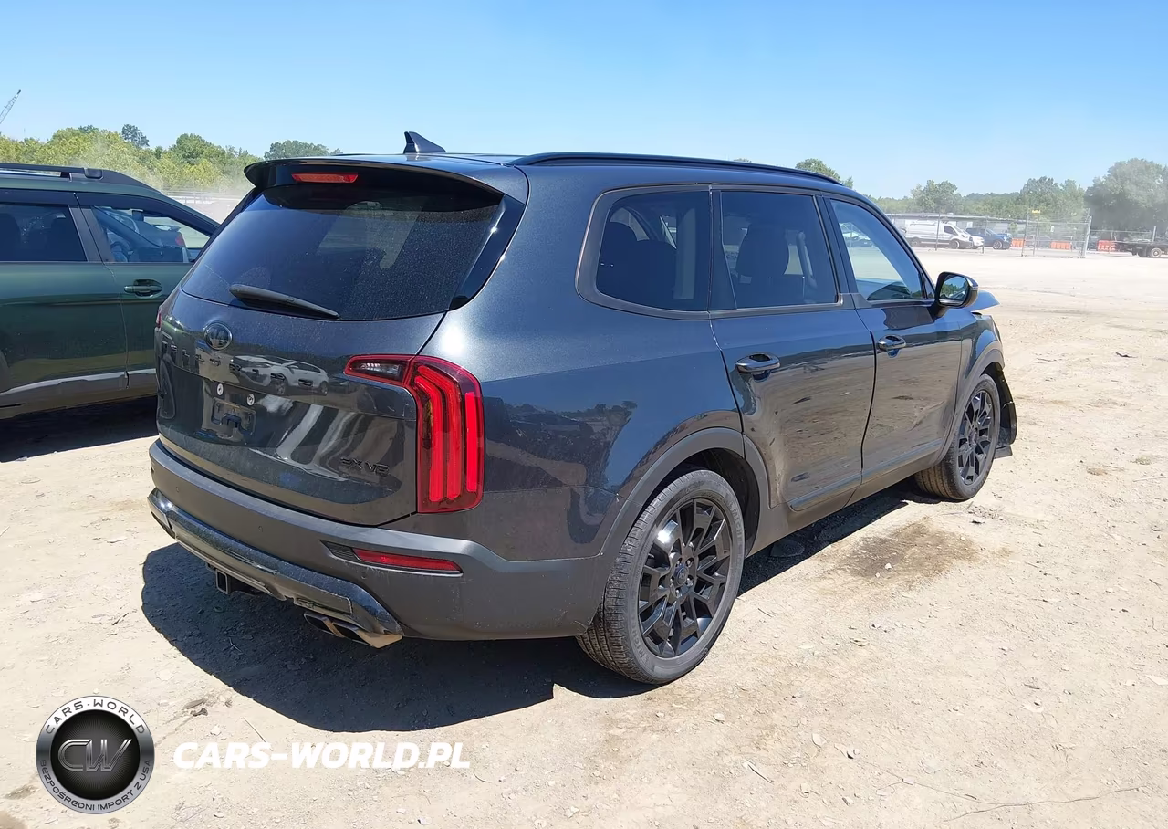 2021 Kia Telluride Ex VIN:5XYP3DHC9MG123324 - 4