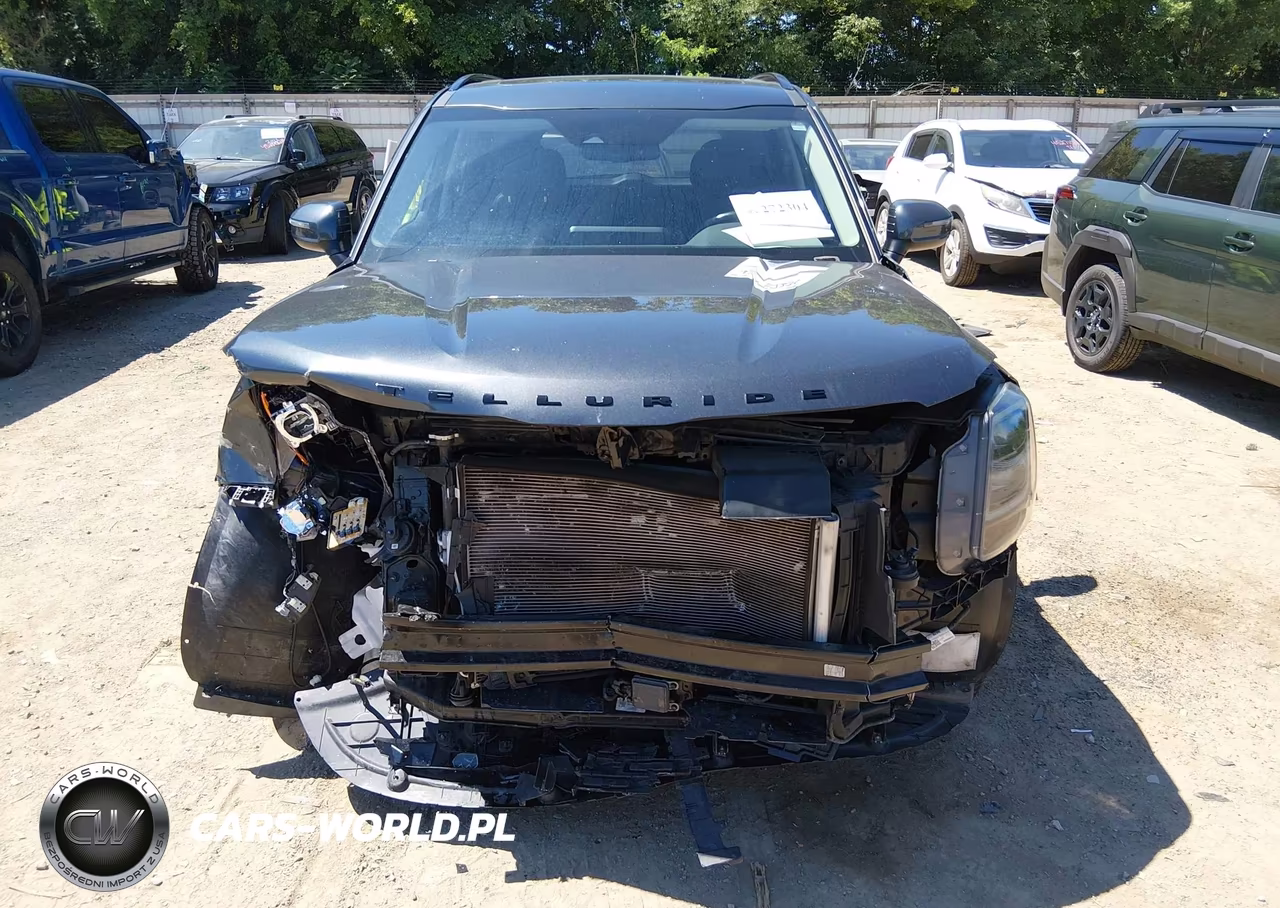 2021 Kia Telluride Ex VIN:5XYP3DHC9MG123324 - 6