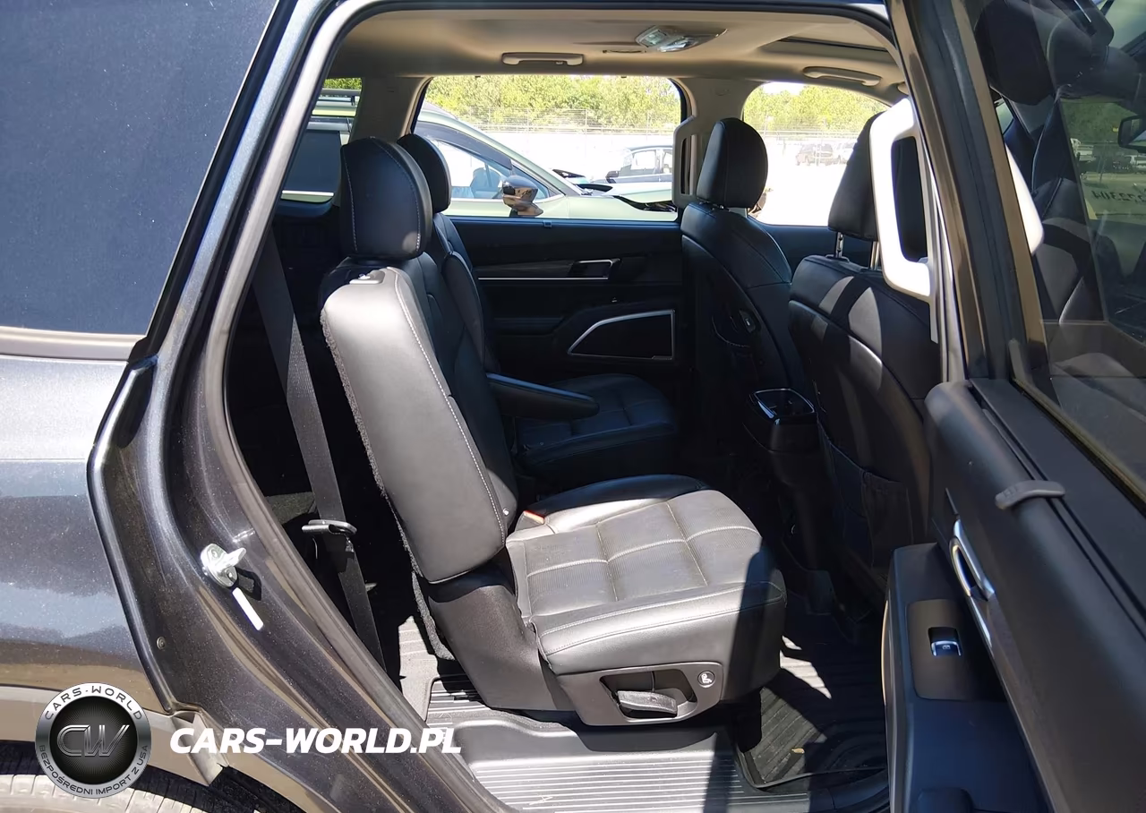 2021 Kia Telluride Ex VIN:5XYP3DHC9MG123324 - 8