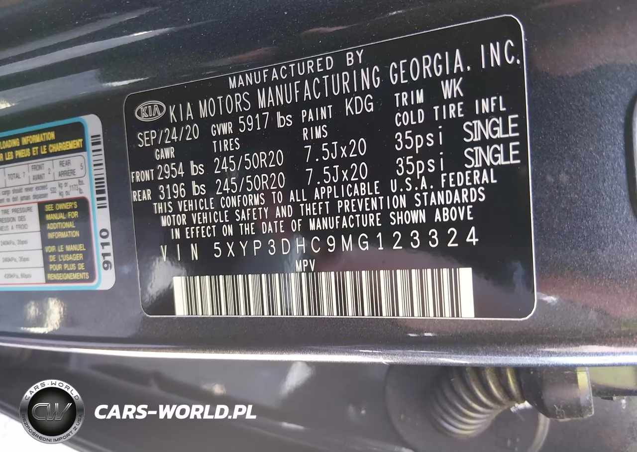 2021 Kia Telluride Ex VIN:5XYP3DHC9MG123324 - 9