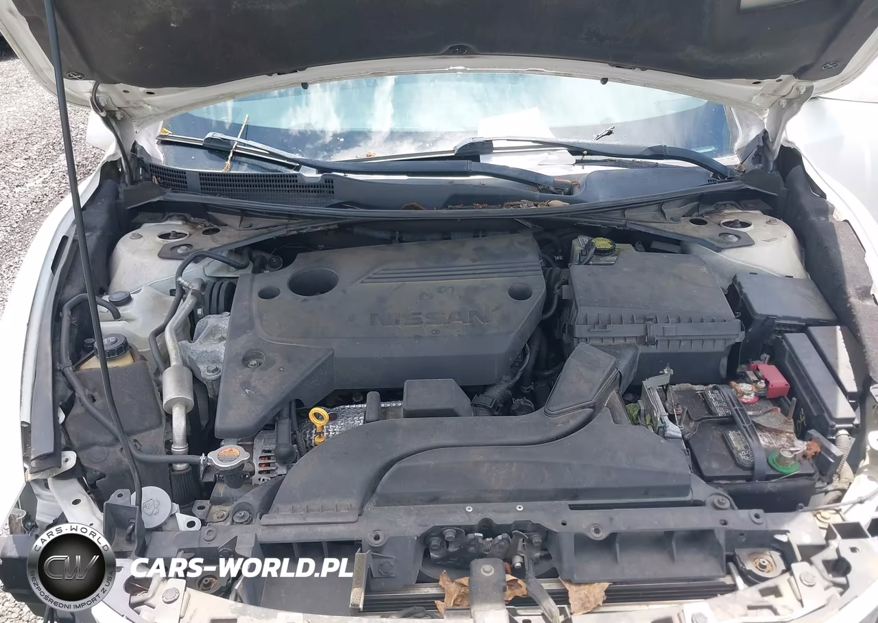 2016 Nissan Altima 2.5-2.5 S-2.5 Sl-2.5 Sr-2.5 Sv VIN:1N4AL3AP4GN362439 - 10