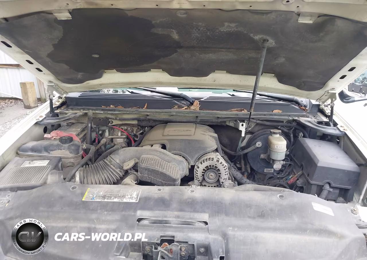 2009 Cadillac Escalade Standard VIN:1GYFK23249R111098 - 10