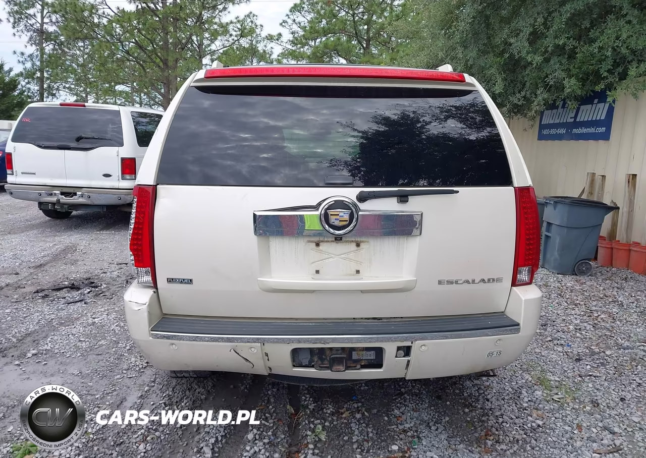 2009 Cadillac Escalade Standard VIN:1GYFK23249R111098 - 16