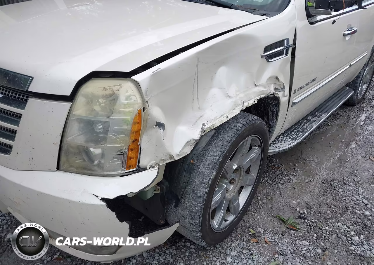 2009 Cadillac Escalade Standard VIN:1GYFK23249R111098 - 17