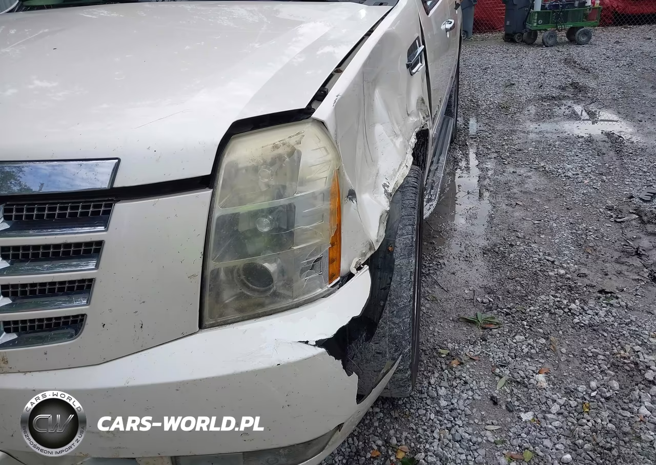 2009 Cadillac Escalade Standard VIN:1GYFK23249R111098 - 18