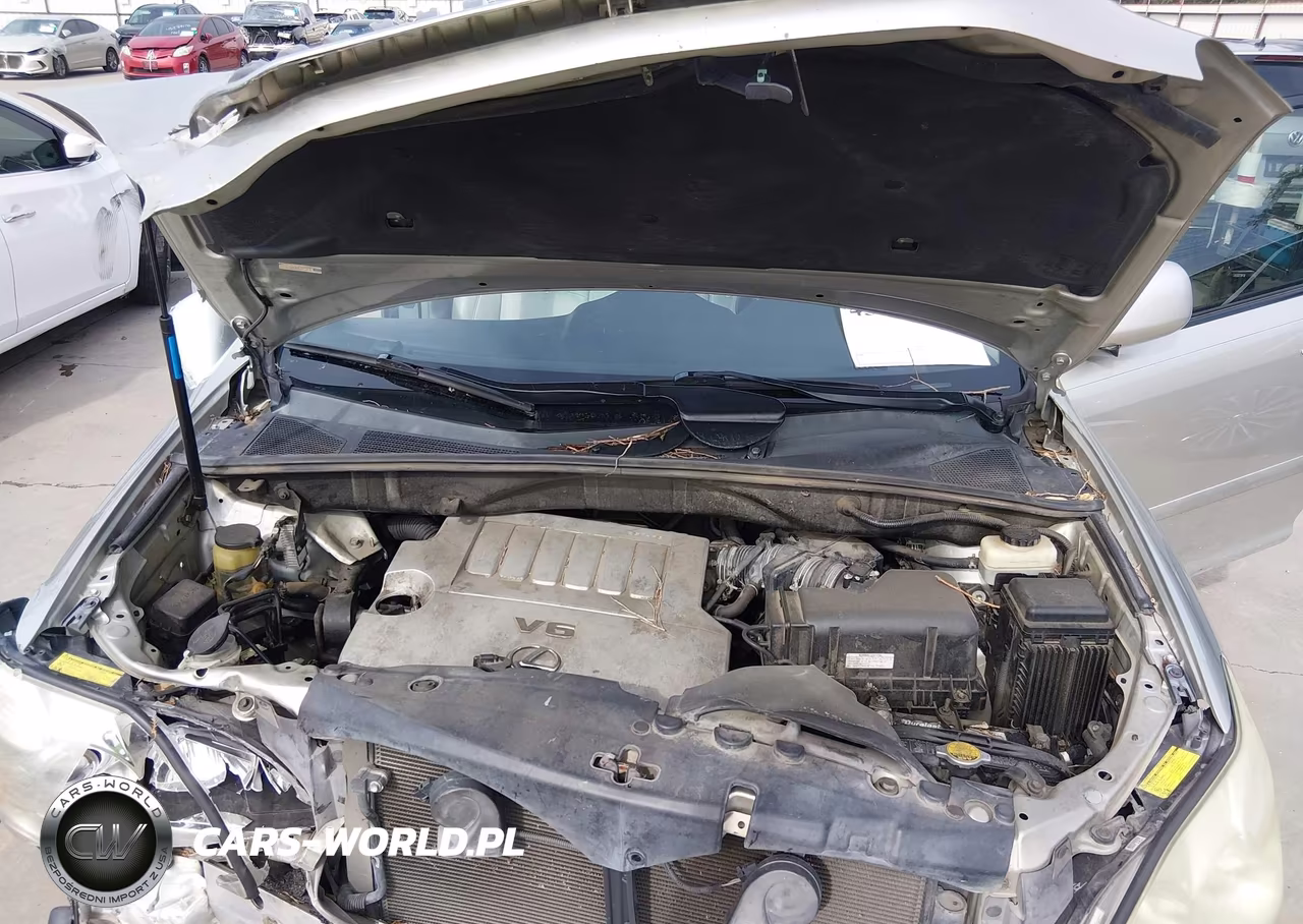 2007 Lexus Rx 350 VIN:2T2HK31U77C029006 - 10