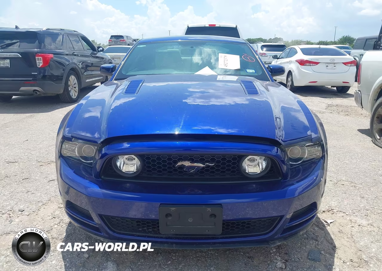 2013 Ford Mustang Gt Premium VIN:1ZVBP8CF2D5221107 - 12