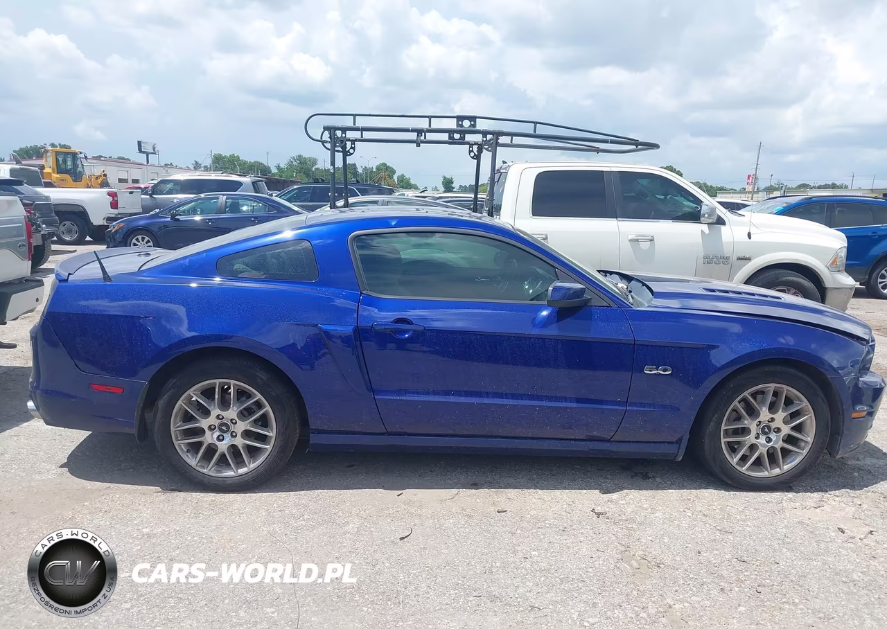 2013 Ford Mustang Gt Premium VIN:1ZVBP8CF2D5221107 - 13