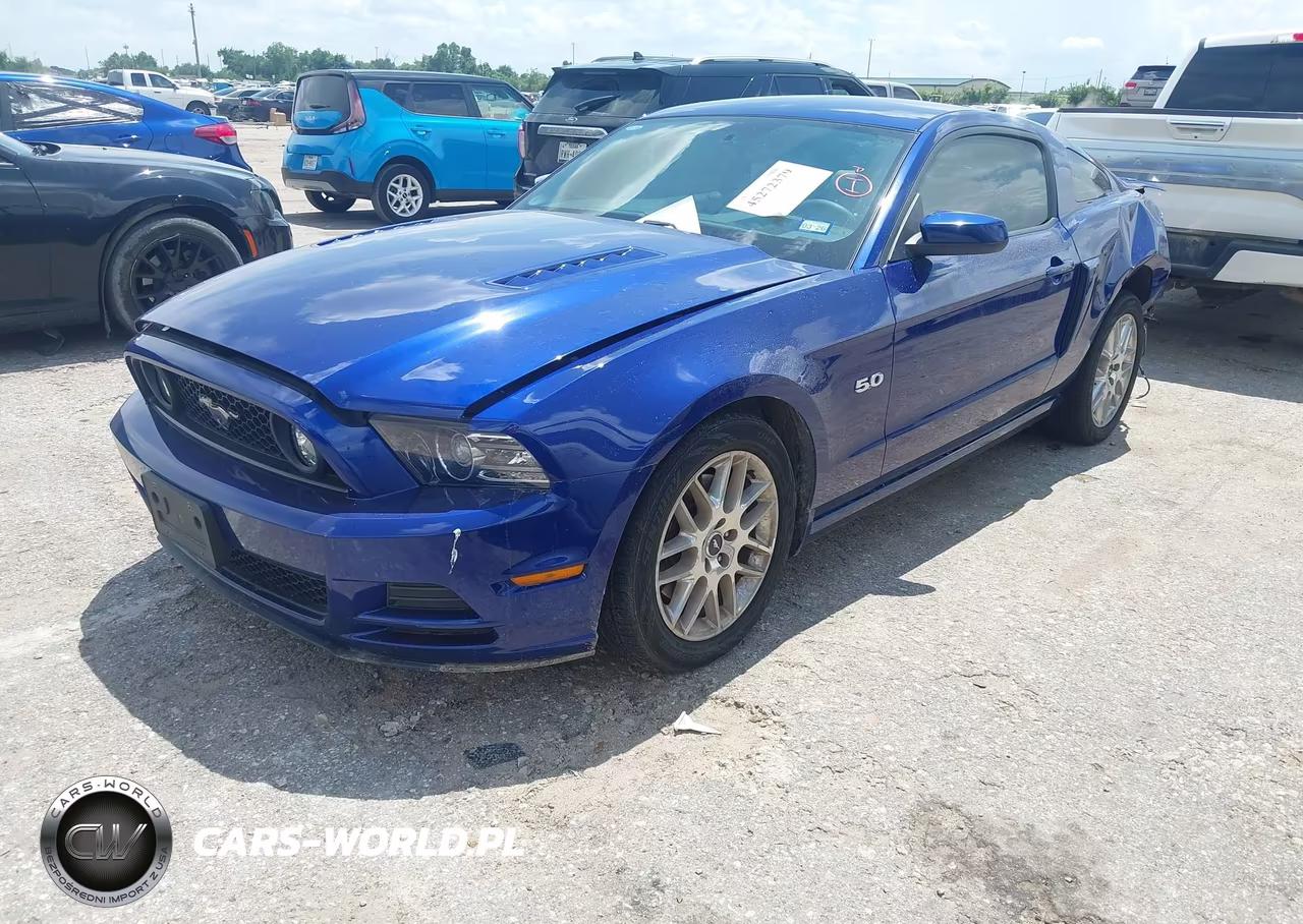 2013 Ford Mustang Gt Premium VIN:1ZVBP8CF2D5221107 - 2